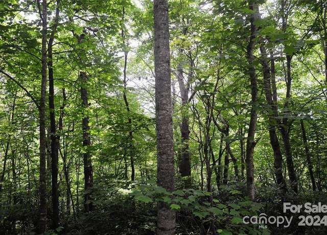Property at 17 Wood Haven Ln #111, Black Mountain, NC 28711