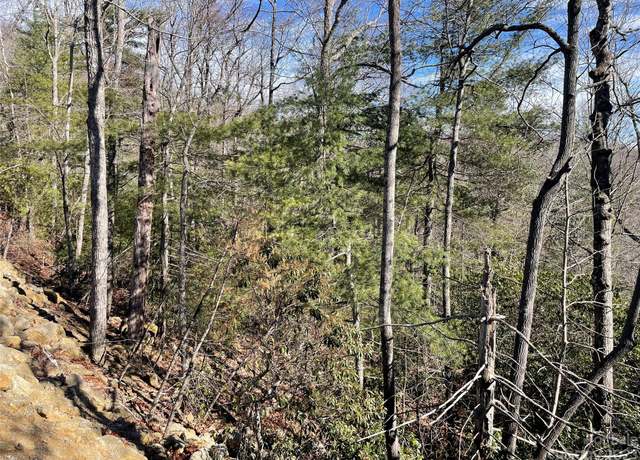 Property at 00 Willow Run Ln #15, Zirconia, NC 28790