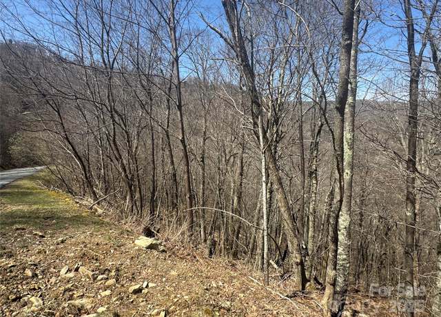 Property at 53 & 55 Running Cedar Dr, Mars Hill, NC 28754