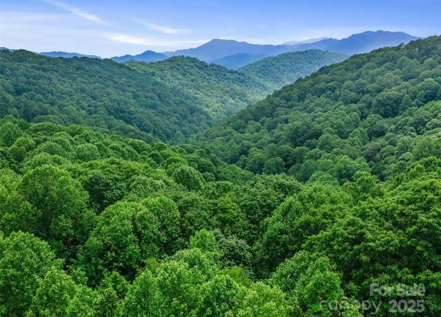 Property at #2 TBD Lotties Creek Rd Lot 19, 20, 23,25,26,27, Burnsville, NC 28714