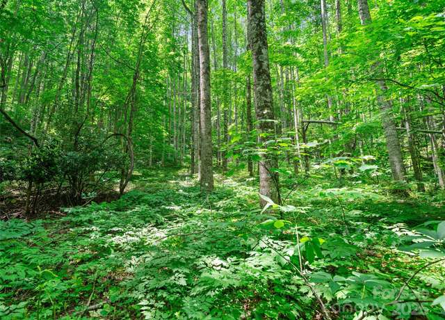 Property at #2 TBD Lotties Creek Rd Lot 19, 20, 23,25,26,27, Burnsville, NC 28714