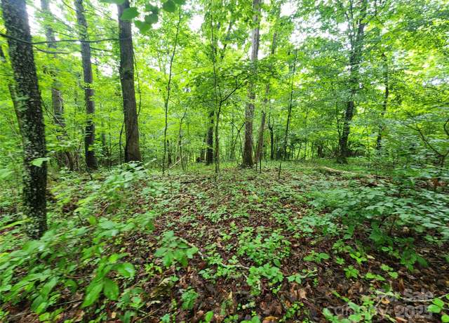 Property at 9999 Henry Worley Ln, Marshall, NC 28753