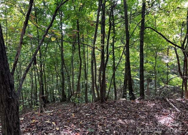 Property at 0 Old Forge Dr #94, Bostic, NC 28018