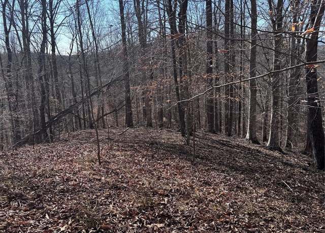 Property at 0 Cross Creek Dr Unit 136A, Rutherfordton, NC 28139