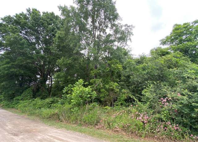 Property at 0.20 AC Massey Dr, Chester, SC 29706