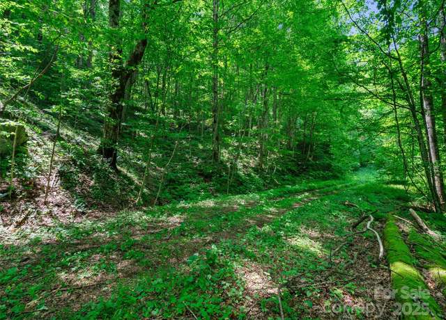 Property at #3 TBD Lotties Creek Rd Lot 37, 42, Burnsville, NC 28714