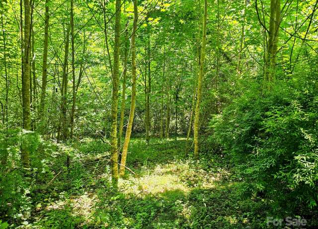 Property at 99 Banjo Branch Rd, Burnsville, NC 28714
