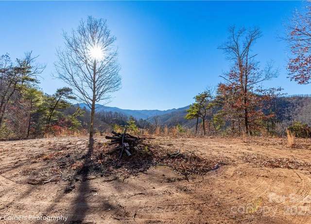 Property at 99999 Sourwood Rd, Canton, NC 28716