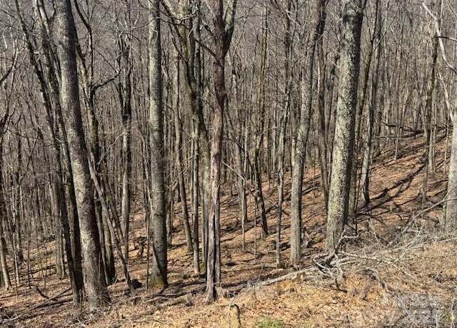 Property at 261 Grouse Thicket Ln, Mars Hill, NC 28754
