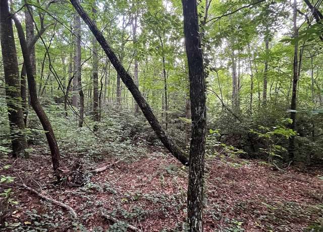 Property at 000 Greenleaf Dr, Flat Rock, NC 28731