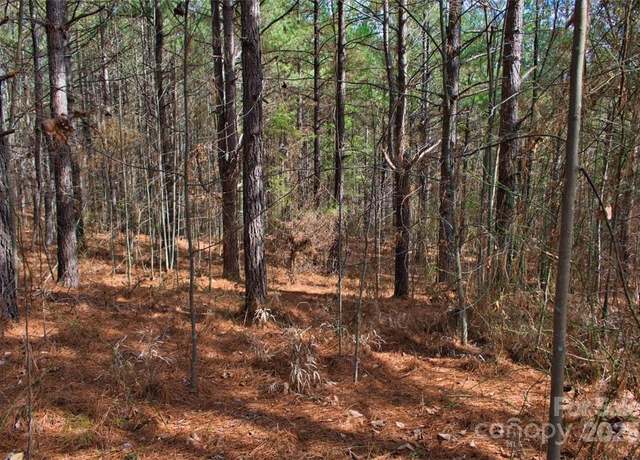 Property at 0 Bitterroot Cir #224, Rutherfordton, NC 28139