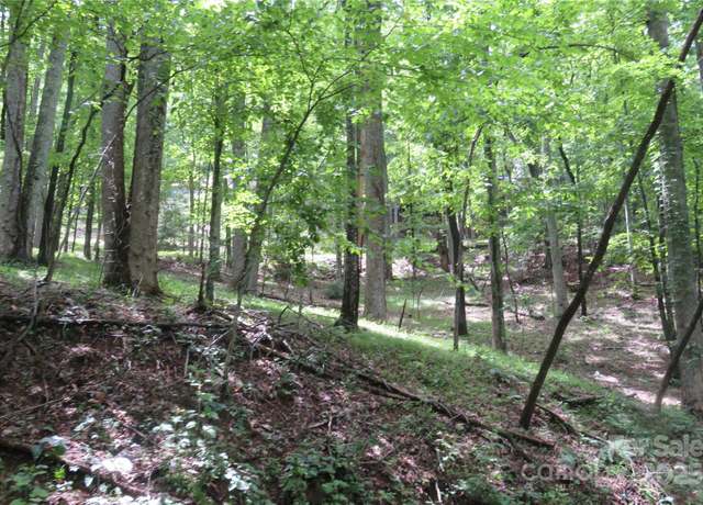 Property at TBD Poplar Dr #152, Mills River, NC 28759