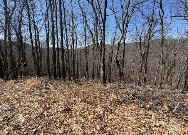 Property at 334-335-336 Hamlin Ln, Mars Hill, NC 28754