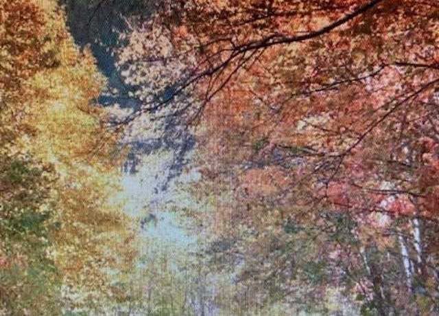 Property at 00 Trillium Ln, Mars Hill, NC 28754