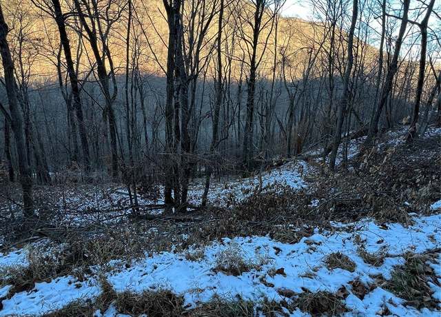 Property at 000 Puncheon Ln #170, Mars Hill, NC 28754
