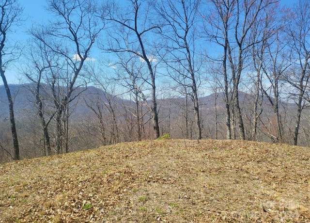 Property at 1229 Dry Crk, Robbinsville, NC 28771