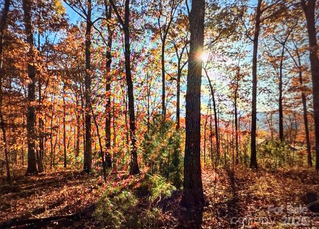 Property at 0 Wild River Run #65, Marshall, NC 28753