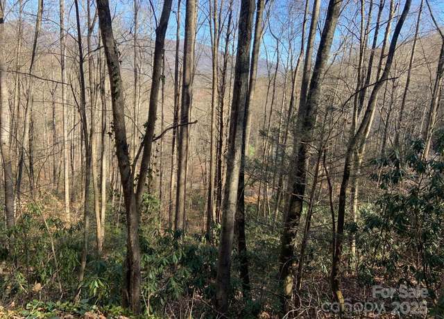 Property at TR 6 Little Bit Trl, Whittier, NC 28789
