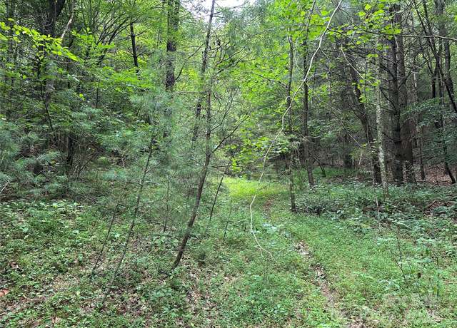 Property at 00 Benny Parsons Rd, Millers Creek, NC 28651