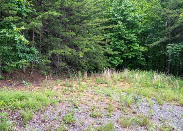 Property at TBD Chicory Dr, Marion, NC 28752