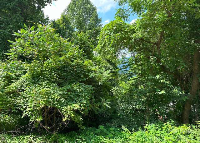 Property at Lot 303 Slippery Rock Rd, Waynesville, NC 28785