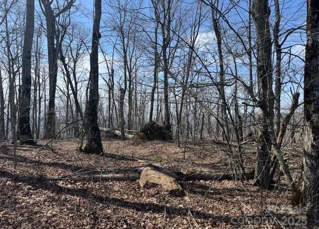 Property at 389 Mckinney Gap Rd, Mars Hill, NC 28754