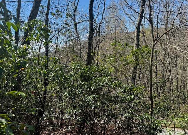 Property at 23 Red Oak Dr, Mills River, NC 28759