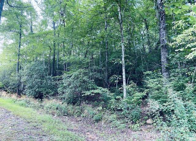 Property at 3 Rock And Roll Ln, Sylva, NC 28779