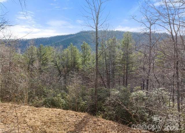 Property at 28 Trillium Ln Unit C-1, Black Mountain, NC 28711
