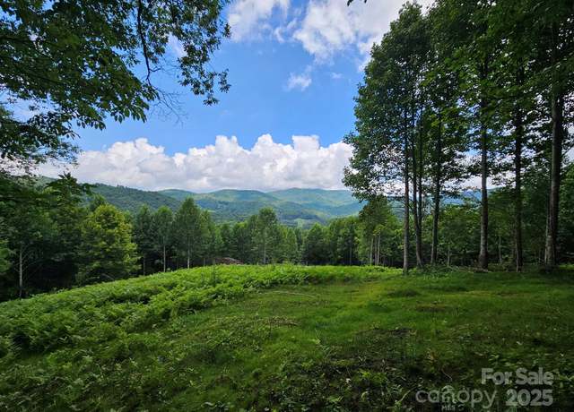 Property at TBD Smith Creek Rd, Mars Hill, NC 28754