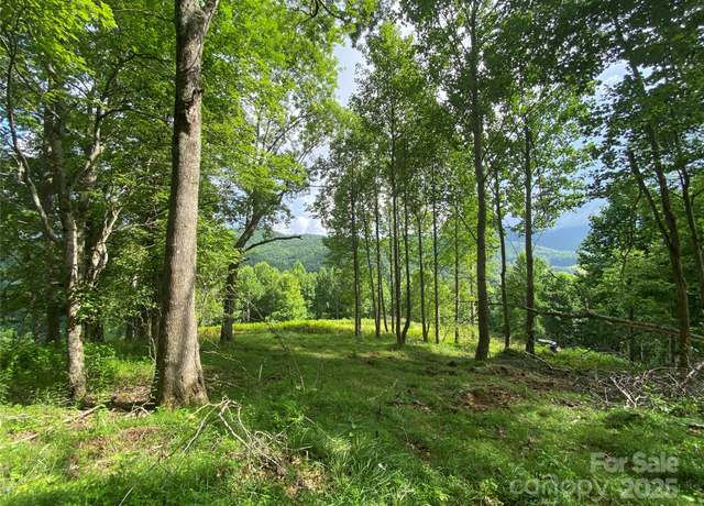 Property at TBD Smith Creek Rd, Mars Hill, NC 28754