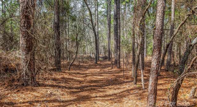 Photo of 526 Spring Hill Church Rd, Hamlet, NC 28345