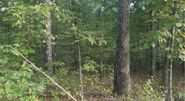 Photo of 0 Egret Rd #66, Lake Lure, NC 28746