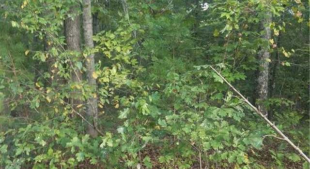 Photo of 0 Egret Rd #66, Lake Lure, NC 28746
