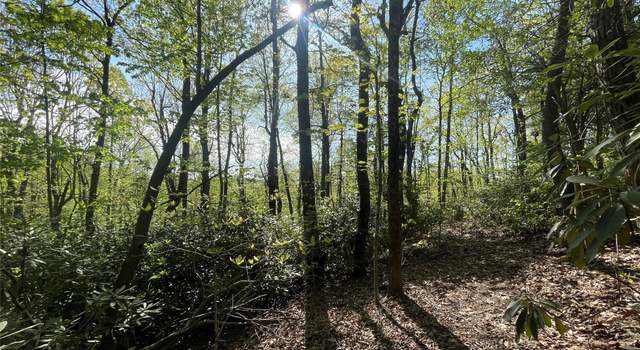 Photo of 59 Mint Hill Ct, Flat Rock, NC 28731