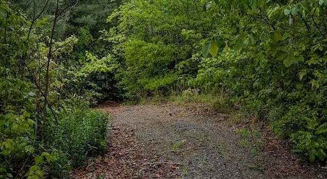 Photo of 821 Turkey Pen Gap Rd, Horse Shoe, NC 28742
