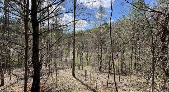 Photo of 999 Freedom Ln, Hot Springs, NC 28743