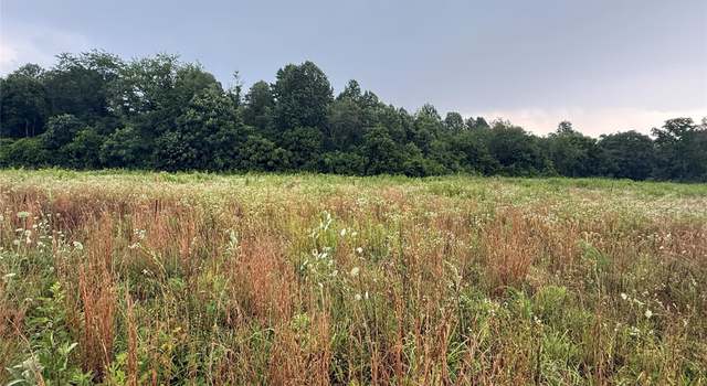 Photo of 00 Mud Cut Loop, Marion, NC 28752