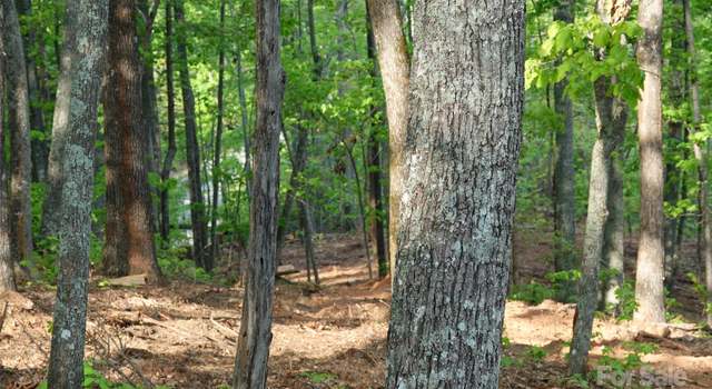 Photo of 55 Arbra Mountain Way, Bostic, NC 28018