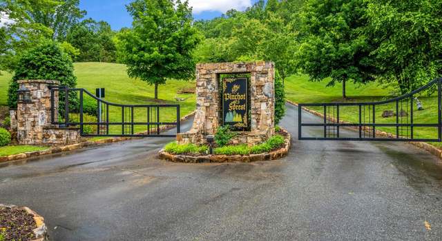 Photo of 18 Giffords Ln #14, Asheville, NC 28803