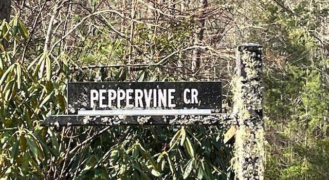 Photo of 0000 Peppervine Cir #97, Rosman, NC 28772