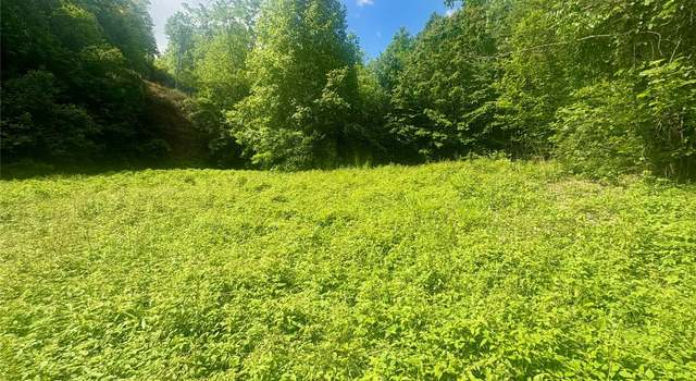Photo of 321 Mount Keys Dr, Bryson City, NC 28713