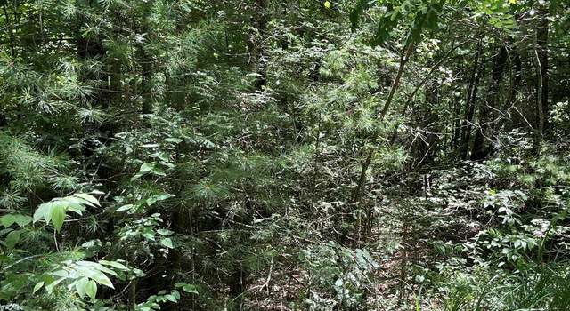 Photo of 00 Pleasant Grove Church Rd, Hendersonville, NC 28792