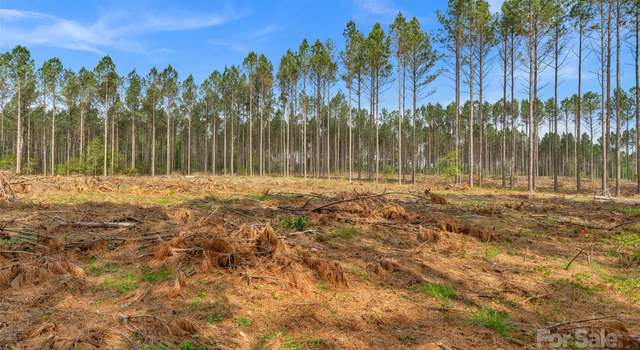 Photo of 0 Lynn Rd #4, Fort Lawn, SC 29714