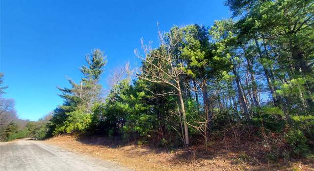 Photo of TBD Staghorn Rd #143, Purlear, NC 28665