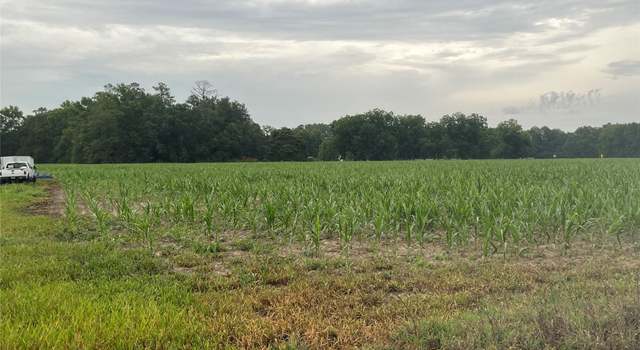 Photo of 0 Manville Saint Charles Rd #3, Bishopville, SC 29010