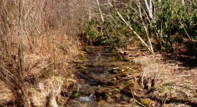 Photo of Lot 1 Upper Rock Creek Rd, Black Mountain, NC 28711