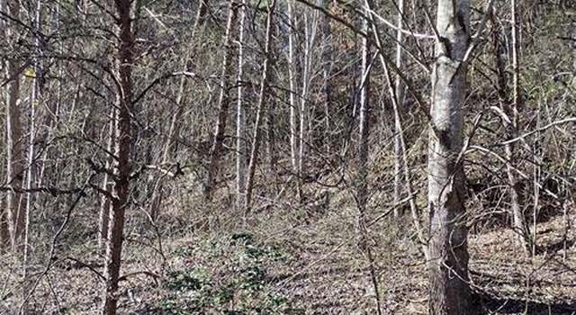 Photo of Lot 30 Laurel Valley Dr, Marion, NC 28752