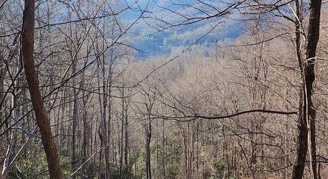Photo of 9999 Still Spring Rd, Black Mountain, NC 28711