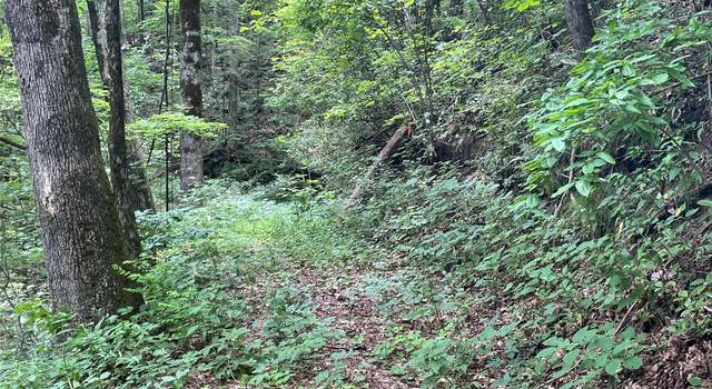 Photo of 00 Eastatoe Gap Rd #52, Rosman, NC 28772